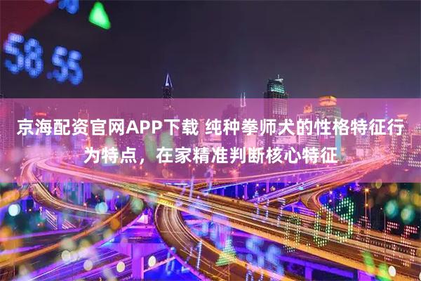 京海配资官网APP下载 纯种拳师犬的性格特征行为特点，在家精准判断核心特征