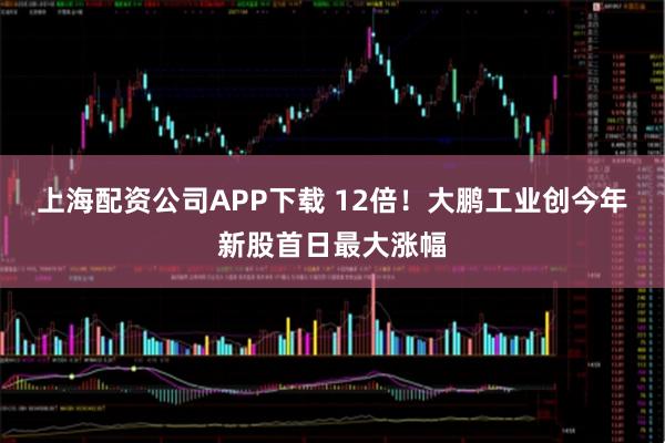 上海配资公司APP下载 12倍!大鹏工业创今年新股首日最大涨幅