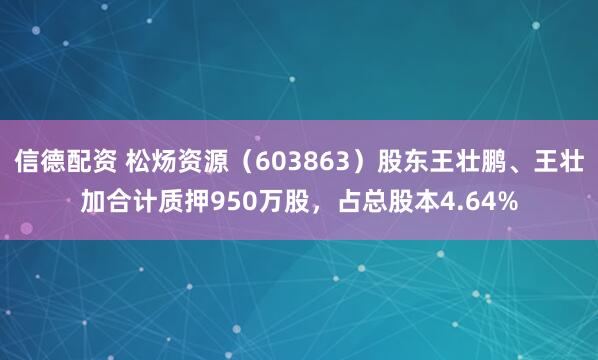 信德配资 松炀资源（603863）股东王壮鹏、王壮加合计质押950万股，占总股本4.64%