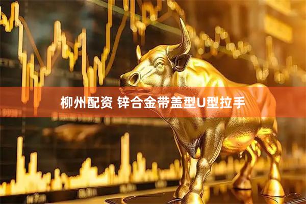 柳州配资 锌合金带盖型U型拉手