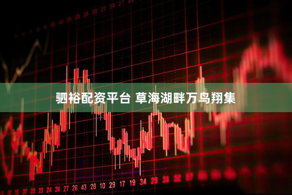 驷裕配资平台 草海湖畔万鸟翔集
